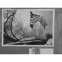 Hoszpodár Zsuzsi emlékére